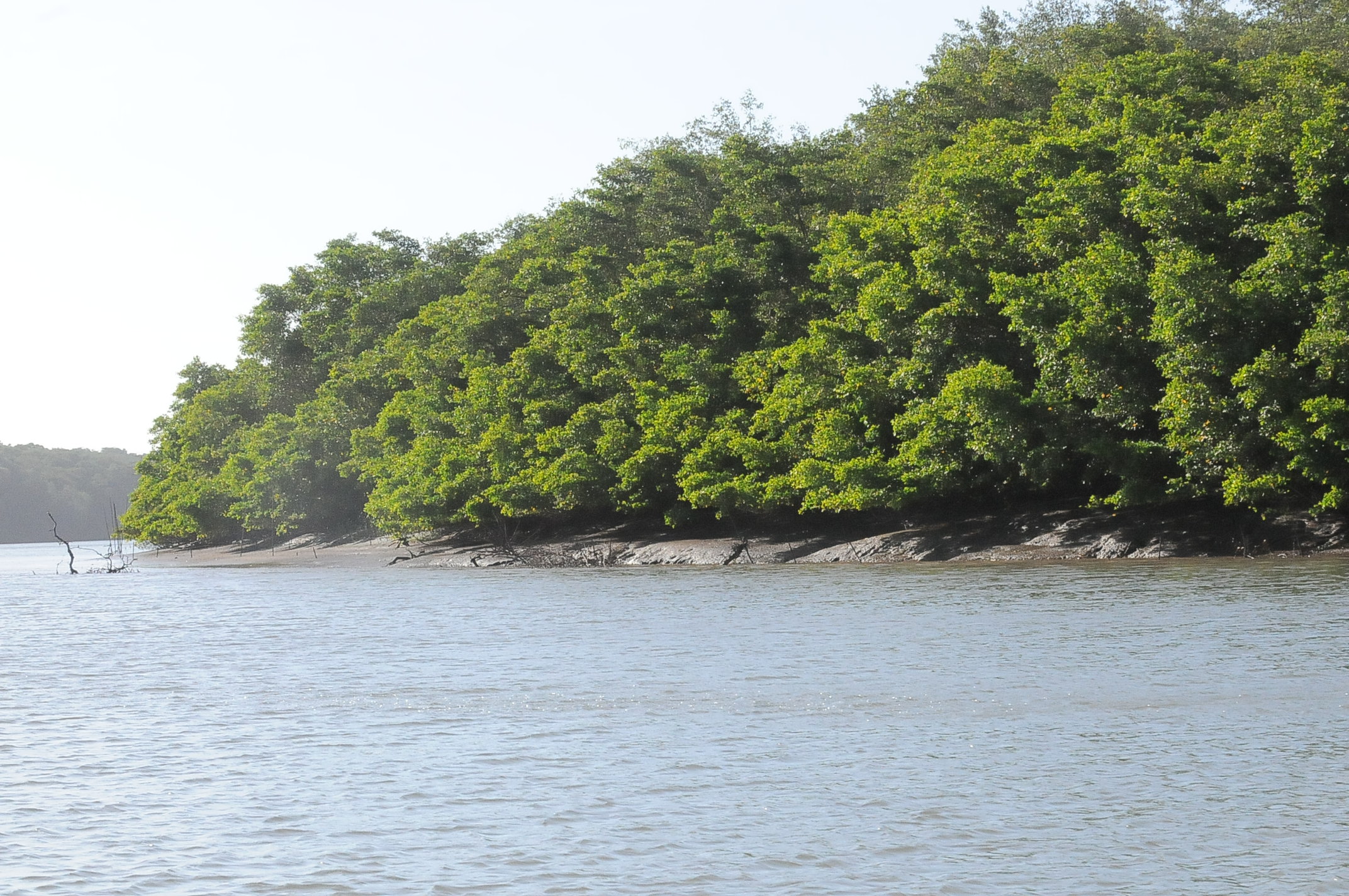 Período de defeso do caranguejo terá três períodos no Piauí