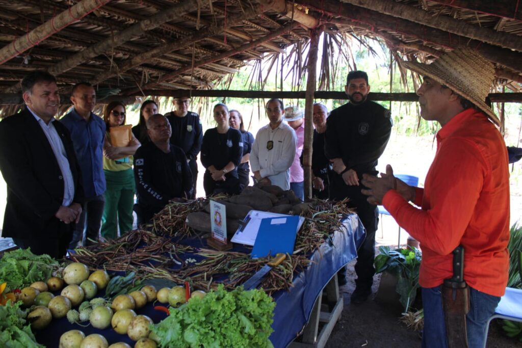Penitenciária Irmão Guido realiza projeto de produção de alimentos orgânicos