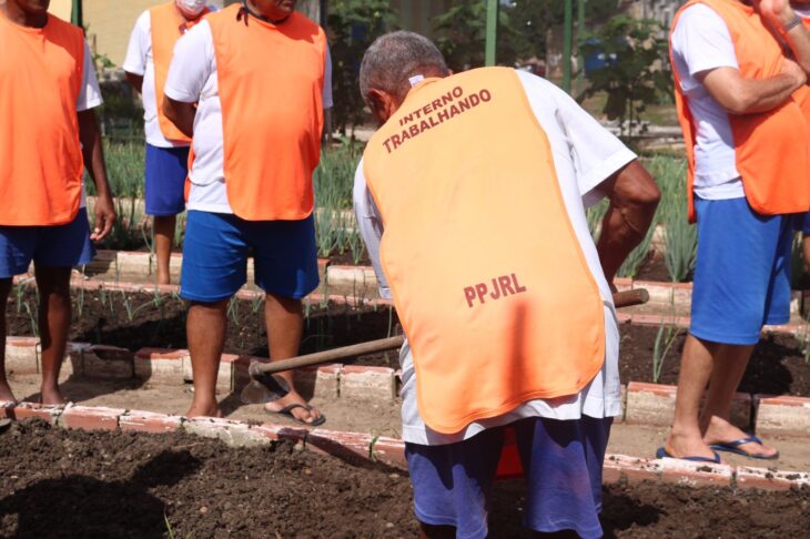 Internos realizam curso de horticultura na penitenciária José Ribamar Leite