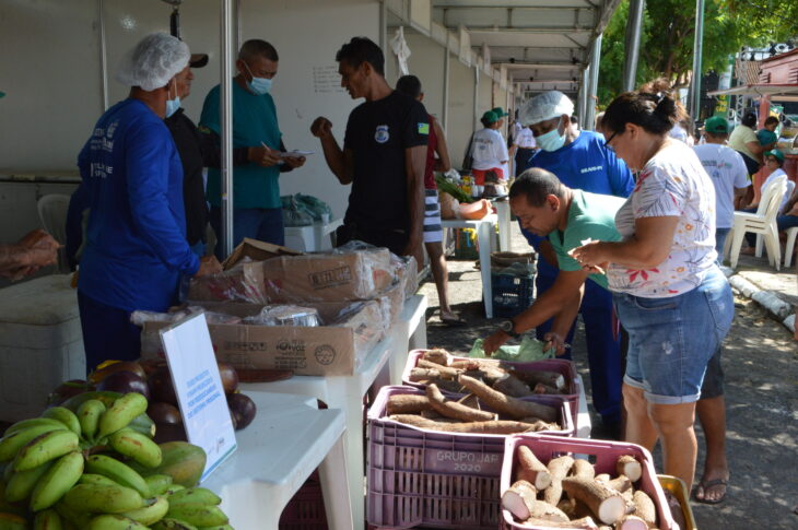 Sejus expõe produtos agrícolas na 1ª Feira Agripecuária em Altos