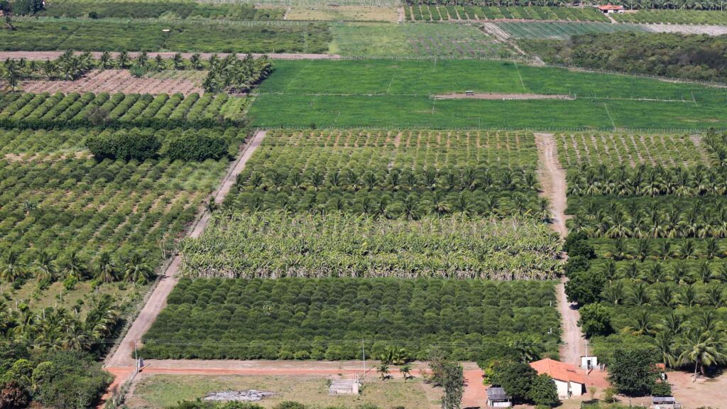 O Ministério da Integração e do Desenvolvimento Regional (MIDR) promoveu, na última quinta-feira (30), uma consulta pública em Parnaíba (PI) para debater a concessão da segunda etapa do Projeto de Irrigação Tabuleiros Litorâneos.