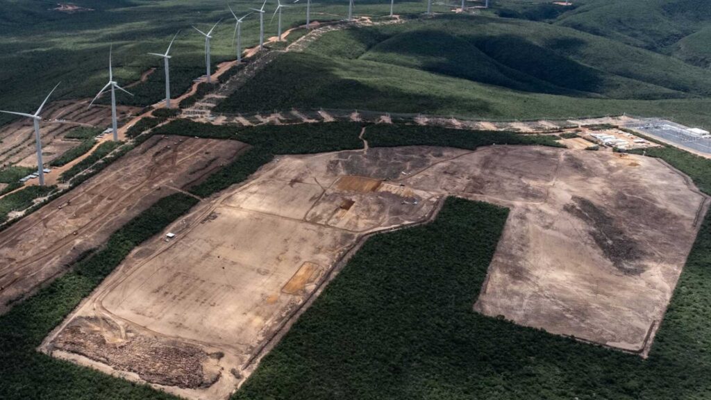 Polêmica Ambiental: Desmatamento para Energia Solar na Bahia Gera Protestos e Batalha Judicial