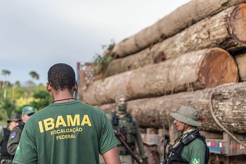 operação do Ibama na Amazônia.