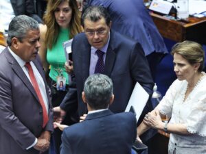 Senador Eduardo Braga discute reforma do setor elétrico.
