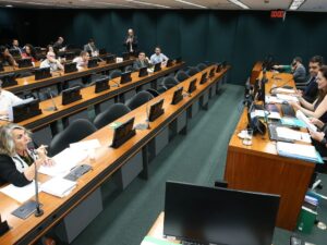 ** Deputada Erika Kokay solicita retificação de voto na Câmara.