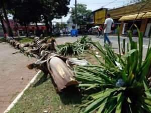 ** Acordo de R$ 210 milhões da família Maluf com a prefeitura de SP.
