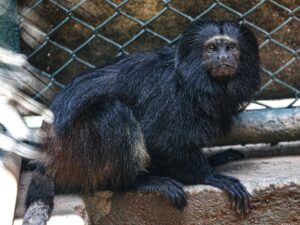 ** Paulo Preto, ex-diretor da Dersa, condenação por corrupção.