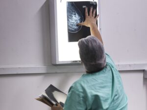 Gráfico de pesquisa Datafolha mostra 24% dos brasileiros apoiando o PT.